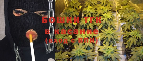 прущие крисы Арсеньев