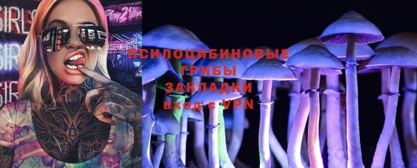 прущие крисы Арсеньев